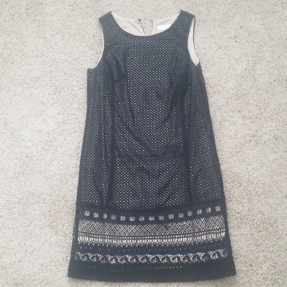 Ann Taylor LOFT dress